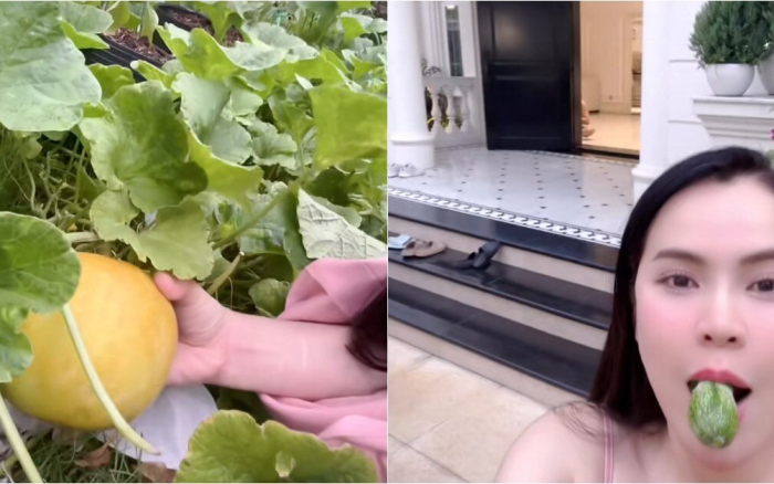 Hoa hậu Phương Lê khoe vườn rau xanh mướt trong biệt thự 200 tỷ