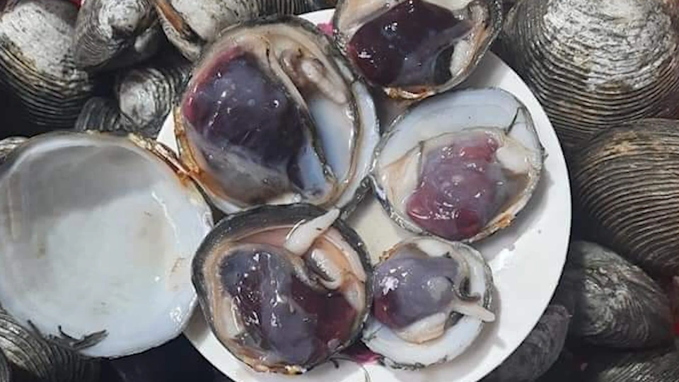 Ngán Quảng Ninh: Đặc Sản Quý Giá Trong Mâm Cỗ Không Nỡ Rời